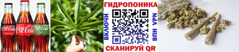 что такое наркотик  Новоалтайск  Еда ТГК конопля 