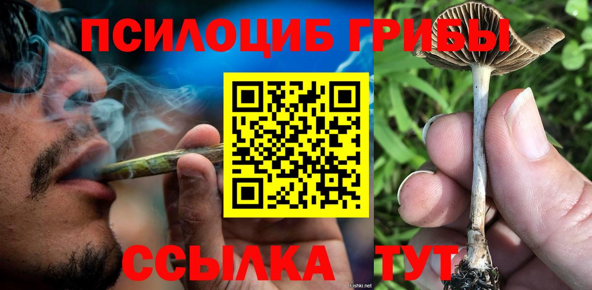 Галлюциногенные грибы ЛСД  Новоалтайск  Псилоцибиновые грибы прущие грибы 